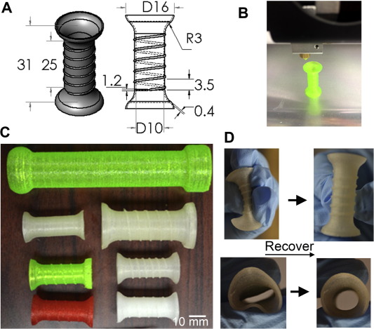大西洋大學開發(fā)用于食道癌患者的3D打印柔性自擴張支架 大西洋大學開發(fā)用于食道癌患者的3D打印柔性自擴張支架